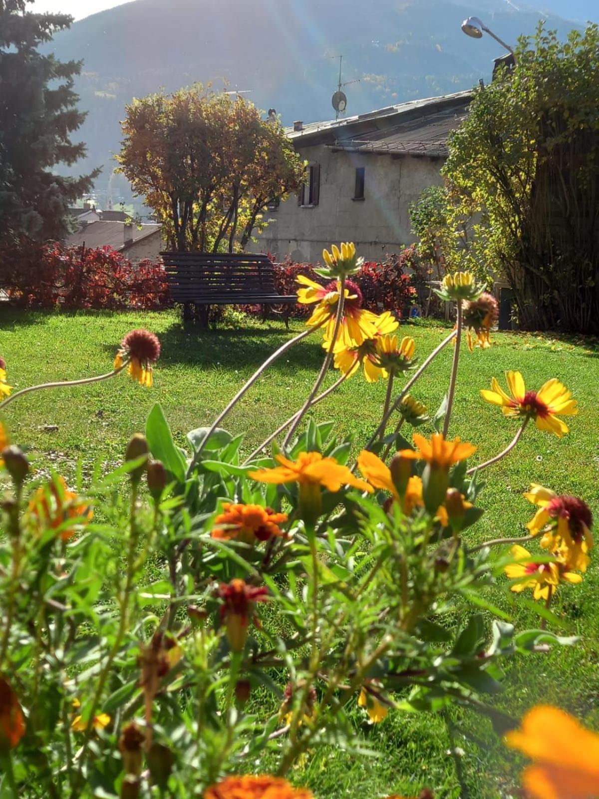 Appartamenti Via Monte Braulio 19 Bormio Kültér fotó